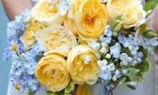 十二星座怎么减肥