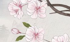 76年属马男在2022年运势