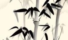 生肖蛇犯太岁怎么化解