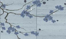 虎年出生的人属什么命