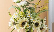 十二星座被说太黑会有什么反应