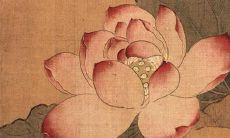 名字带桐女孩怎么起名