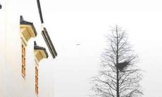 姓蔡的女孩名字有意义