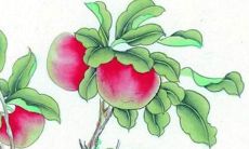 免费姓氏起名男孩名字