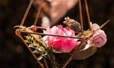 十二星座在学业方面的积极性有多高