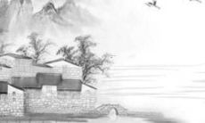 属龙的2022年全年运势女