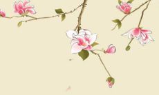 十二生肖蛇2022年运势及运程