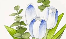 属猴在兔年运势2022年运势