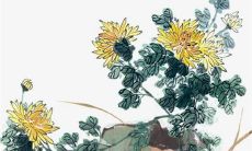 如何化解犯太岁