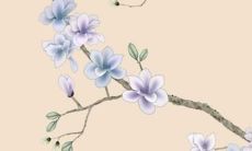 生肖运程 属狗的人2022年结婚利月