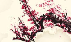 2022年生肖马的运势及健康