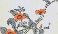 1982在2022年运势