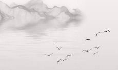 属兔男2022年全年运势烂桃花