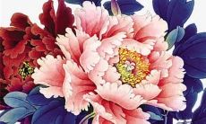 86年属虎女的最佳贵人