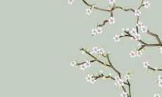 2022属蛇的人犯太岁佩戴朱砂