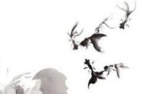 属狗人2022年吉凶方位和幸运色