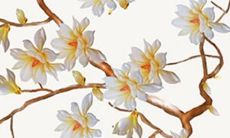 羊生肖2022 年运势