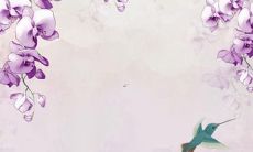 1974年虎2022年运势运程