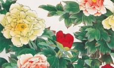 2022年最旺最顺的生肖鼠