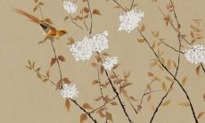 属牛和属鸡2022年的全年运势