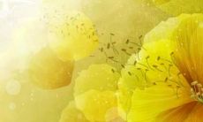 女孩名字刘燕什么好听