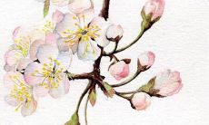 如何给女孩取名 先根据五行