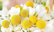 白羊星座的优点