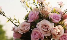 天上的星星星座