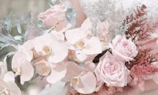 夏雨袁泉星座合适吗