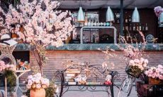 阴力2月13日是什么星座