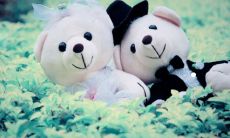 2月2号是什么星座 为什么说狗都不谈水瓶座