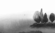 形容智慧阳光的女孩名字