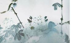 女孩子名字比较有内涵的字姓陈