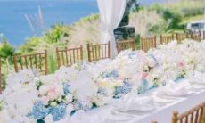 十二星座是怎么从小纯洁变成老司机的