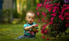 梦见诈尸周公解梦