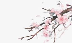 胡姓独特稀少女孩名字知乎