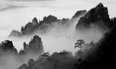 肖姓男宝宝取名虎年