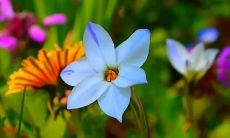 梦见天快黑了找不到回家的路