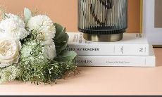 属狗双子座男生和什么星座最配