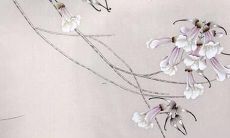 给钱姓女孩起名字