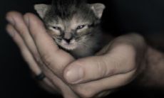 带彦字的满分男孩名字 文雅大气的彦字男生名字