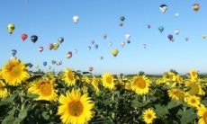 带风字彬彬有礼的名字 如诗如画的风字名字