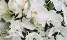 逻辑缜密 谈判能力最强的三大星座