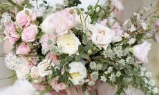 十二星座图片星向图