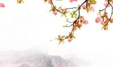 2022属虎每月运势1986