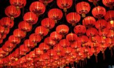 属猪女2022年全年运势 今年运势是好是坏