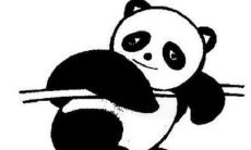 为什么2022年属鼠的是一个坎