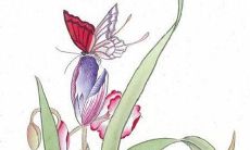 属羊2022年命中贵人