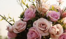 十二星座的专属水杯