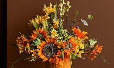 哪些星座女是男人的梦中情人